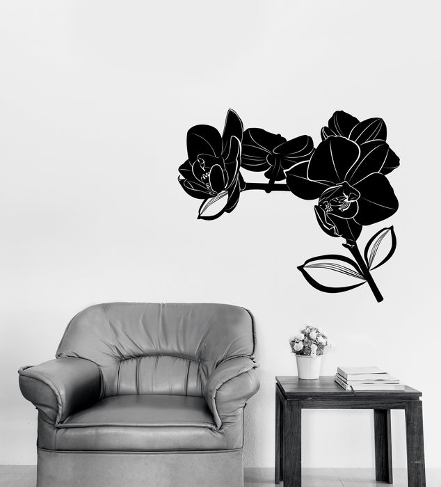 Large Wall Vinyl Decal Bud Leaves Branch Flowers Orchid Unique Gift (n1290)