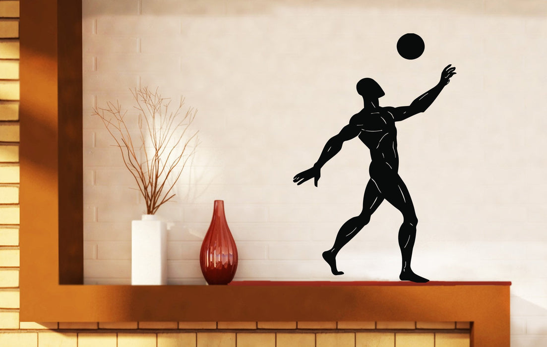 Vinyl Decal SportsPictures Wall Sticker Volleyball Basketball Handball Football Unique Gift (n344)