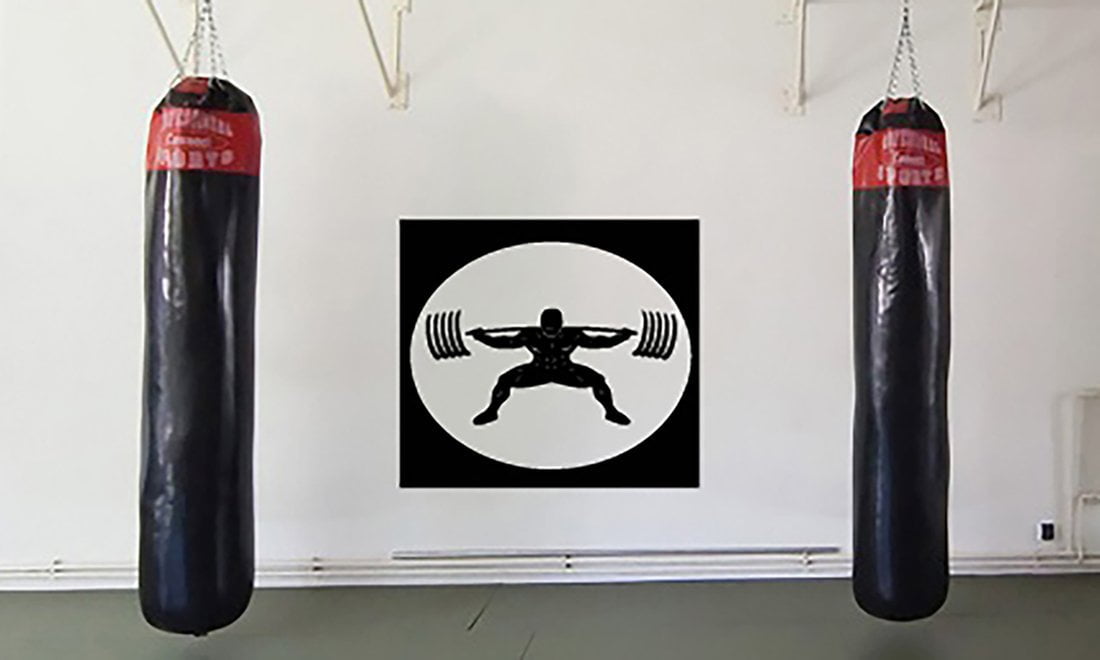 Large Vinyl Decal Image For Gym Training Iron Weight Bar Wall Sticker (n613)