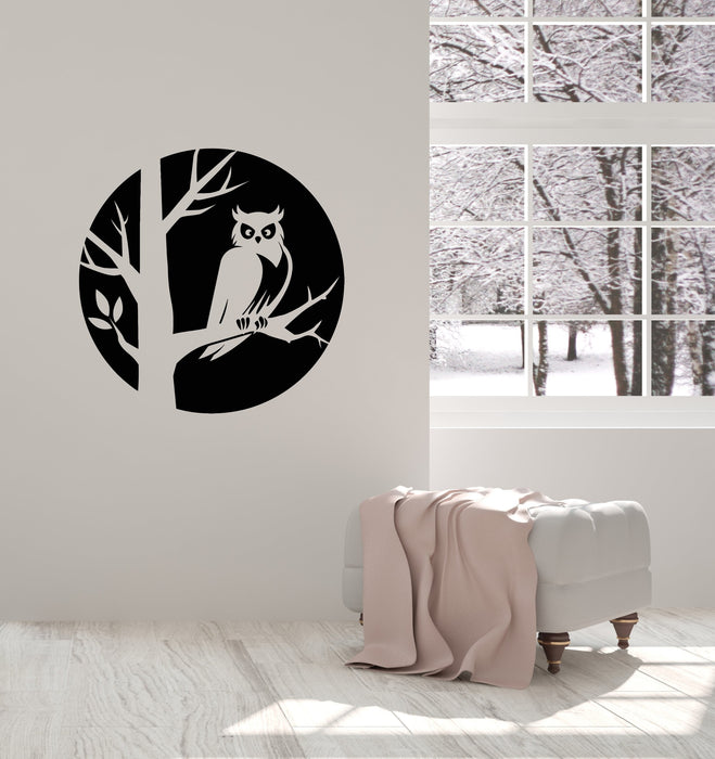 Vinyl Wall Decal Owl Bird Tree Branch Living Room Home Art Stickers Mural (ig5676)