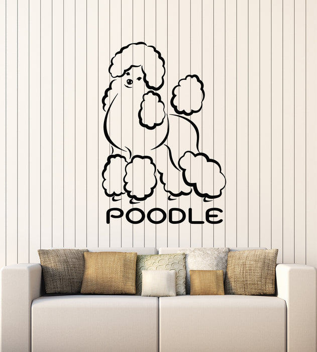 Vinyl Wall Decal Pet Grooming Cute Dog Beautiful Poodle Stickers Mural (g3243)