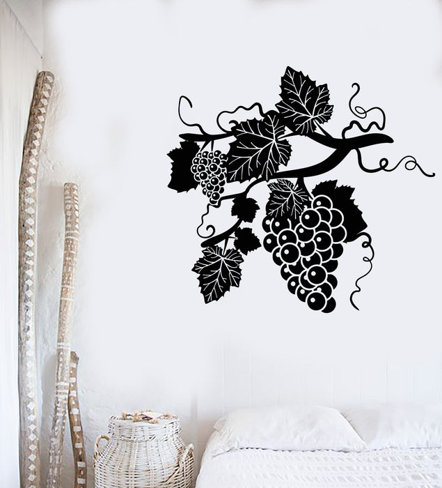 Vinyl Wall Decal Grape Branch Vine Berries Alcohol Winery Stickers Mural (g3437)