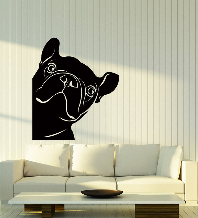 Vinyl Wall Decal Funny French Bulldog Pet Shop Dog Stickers (2720ig)