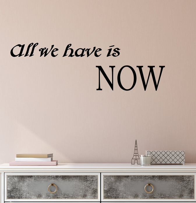 Vinyl Wall Decal Stickers Motivation Quote Words All We Have Is Now Inspiring Letters 2810ig (22.5 in x 7 in)