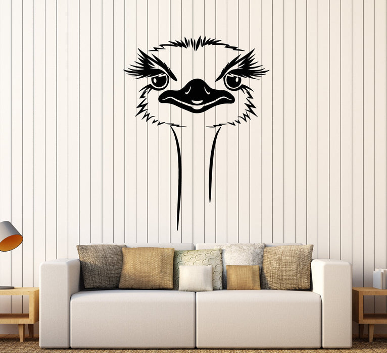 Vinyl Wall Decal Cartoon African Ostrich Head Big Bird Stickers (2742ig)