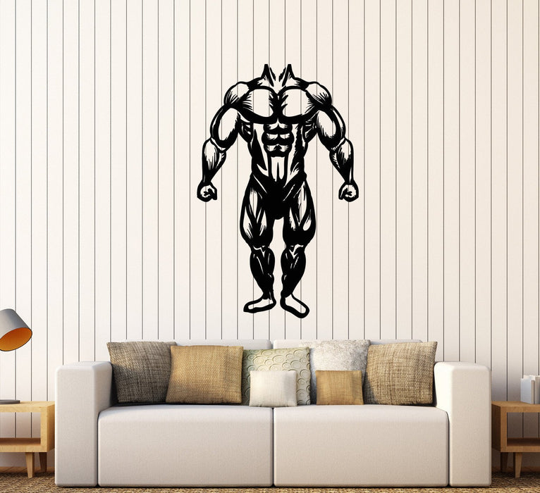 Vinyl Wall Decal Muscles Gym Bodybuilding Muscled Anatomy Stickers Unique Gift (506ig)