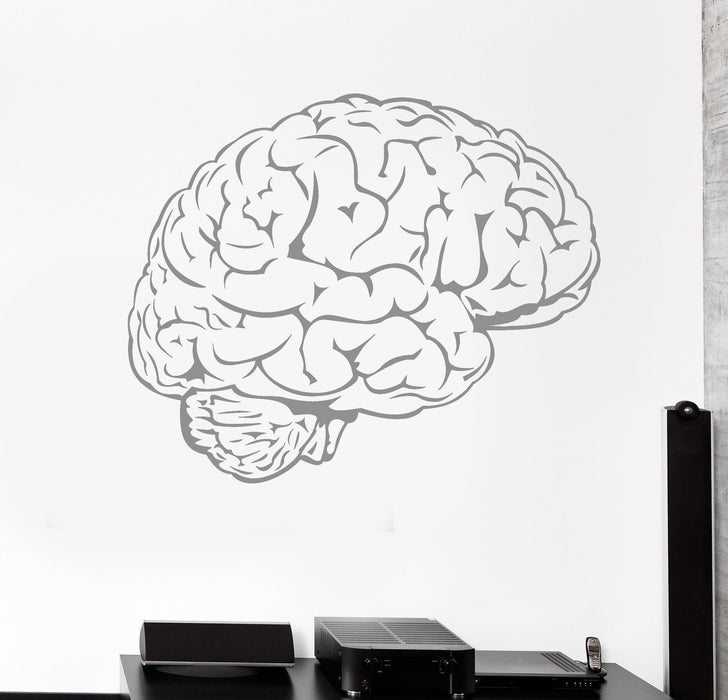 Vinyl Wall Decal Brain Mind Anatomy Intellect Science Medicine Doctor Stickers Unique Gift (1462ig)