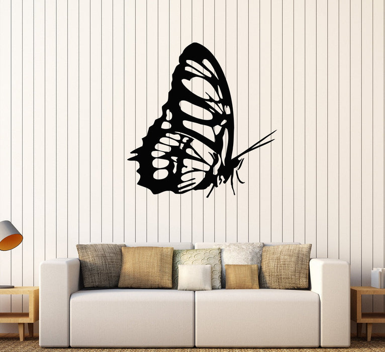 Vinyl Wall Decal Butterfly Home Interior Room Stickers Unique Gift (640ig)