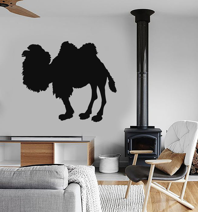 Wall Stickers Vinyl Decal Camel Animal Zoo Tribal Decor Murals Unique Gift (ig172)