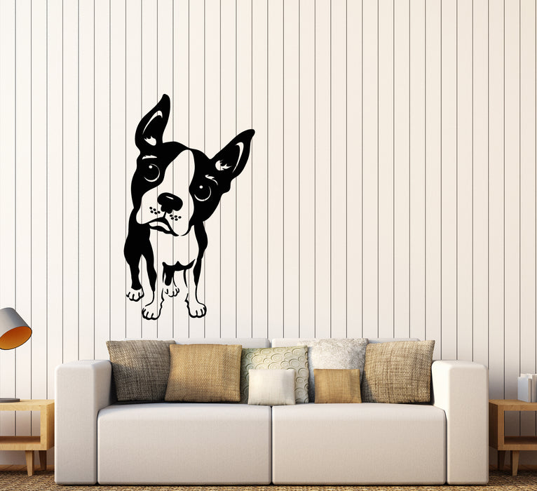 Vinyl Wall Decal Funny French Bulldog Pet Grooming Stickers (3469ig)