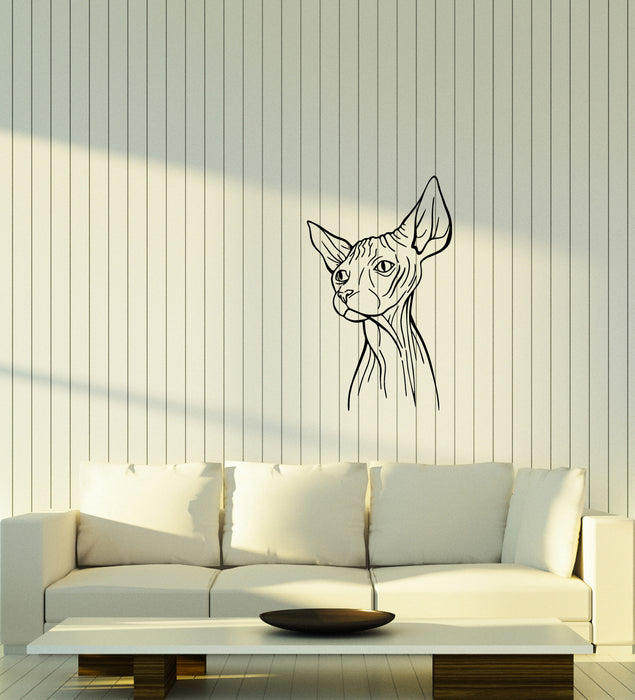 Vinyl Wall Decal Abstract Sphynx Cat Egyptian Pet Home Animal Stickers (3920ig)