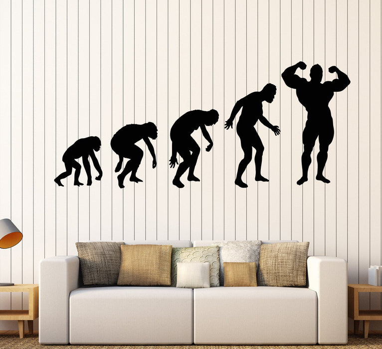 Vinyl Wall Decal Evolution Of Man Gym Bodybuilding Beautiful Body Muscles Stickers Unique Gift (1316ig)