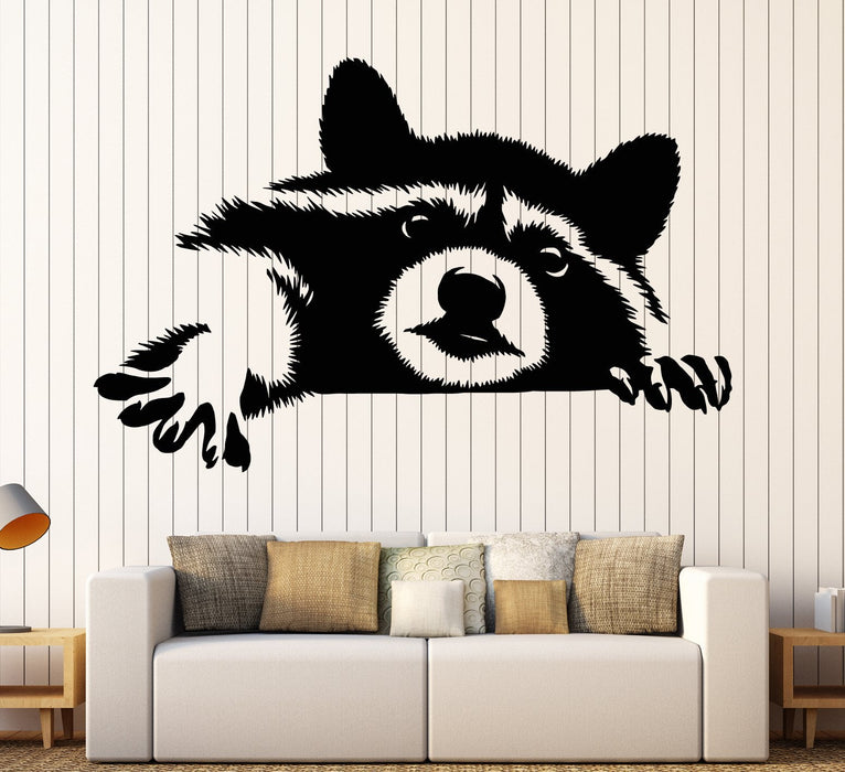 Vinyl Wall Decal Funny Animal Raccoon Head Rodent Pet Stickers Unique Gift (1843ig)