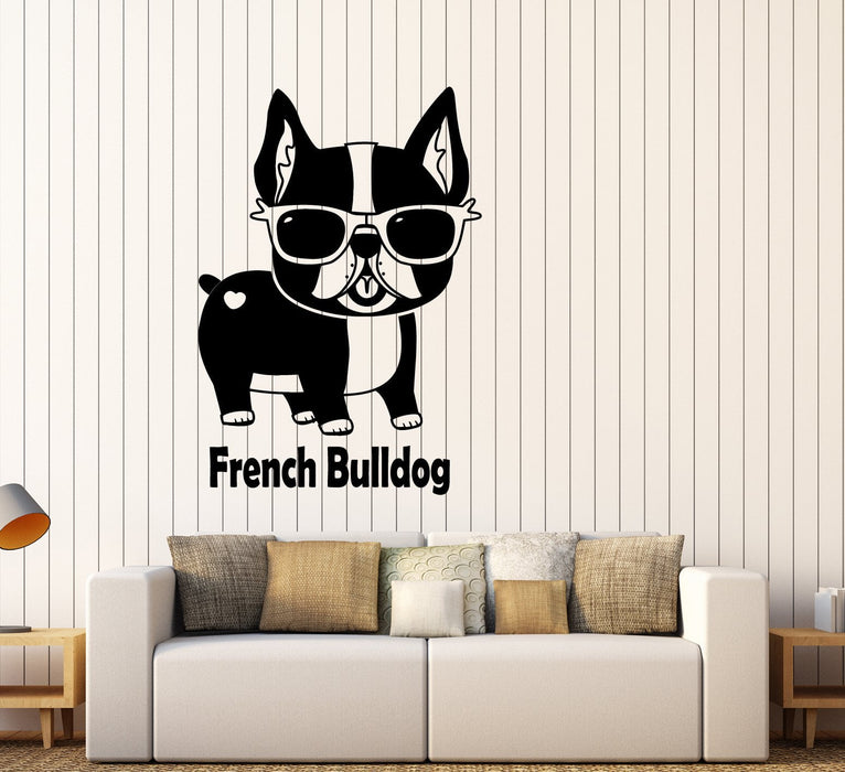 Vinyl Wall Decal French Bulldog Pet Shop Sunglasses Funny Animal Stickers (2558ig)