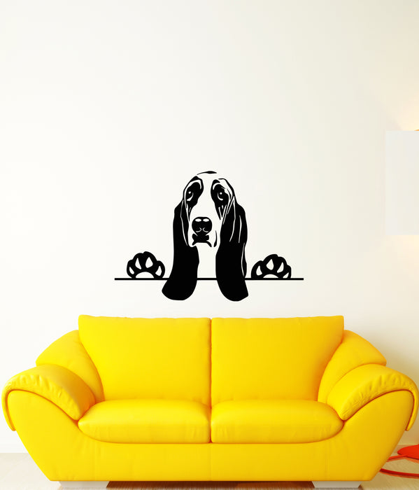 Vinyl Wall Decal Basset Hound Pedigree Dog Pet Shop Animal Stickers (3952ig)
