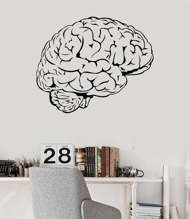 Vinyl Wall Decal Brain Mind Anatomy Intellect Science Medicine Doctor Stickers Unique Gift (1462ig)