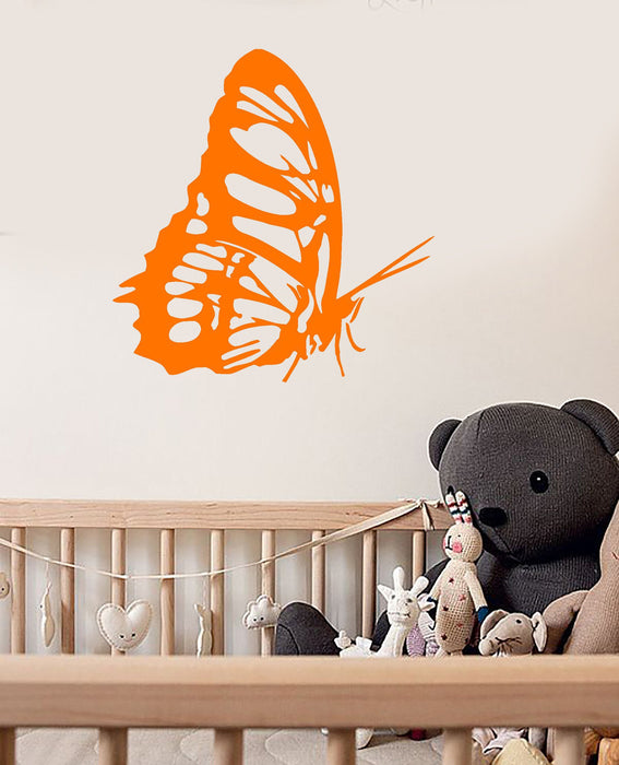 Vinyl Wall Decal Butterfly Home Interior Room Stickers Unique Gift (640ig)