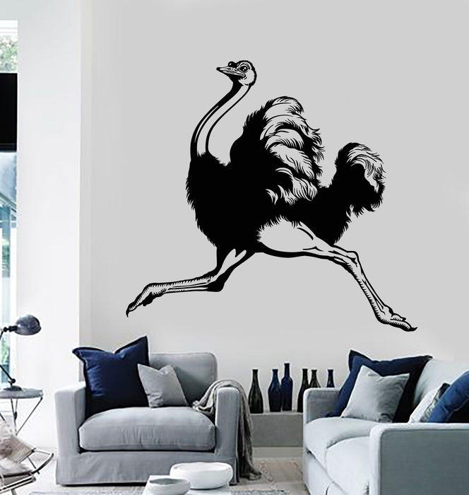 Vinyl Wall Decal Ostrich Animal Room Decoration Stickers Murals Unique Gift (ig4758)