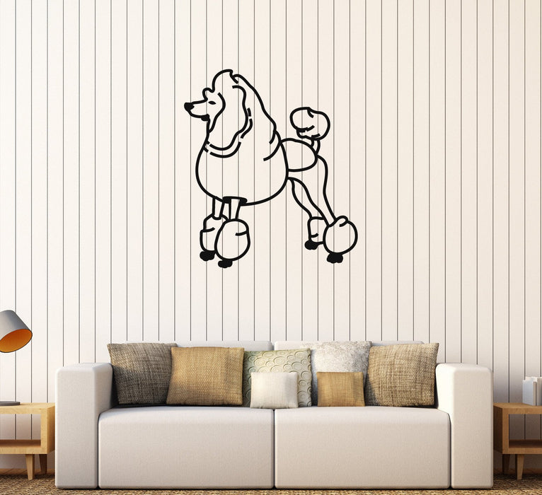 Vinyl Wall Decal Poodle Dog Animal Pet Shop Stickers Mural Unique Gift (602ig)