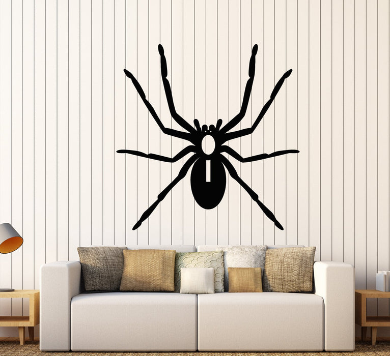 Vinyl Wall Decal Cartoon Spider Insect Halloween Room Decoration Stickers (2899ig)