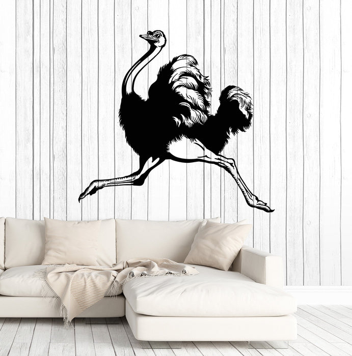 Vinyl Wall Decal Ostrich Animal Room Decoration Stickers Murals Unique Gift (ig4758)