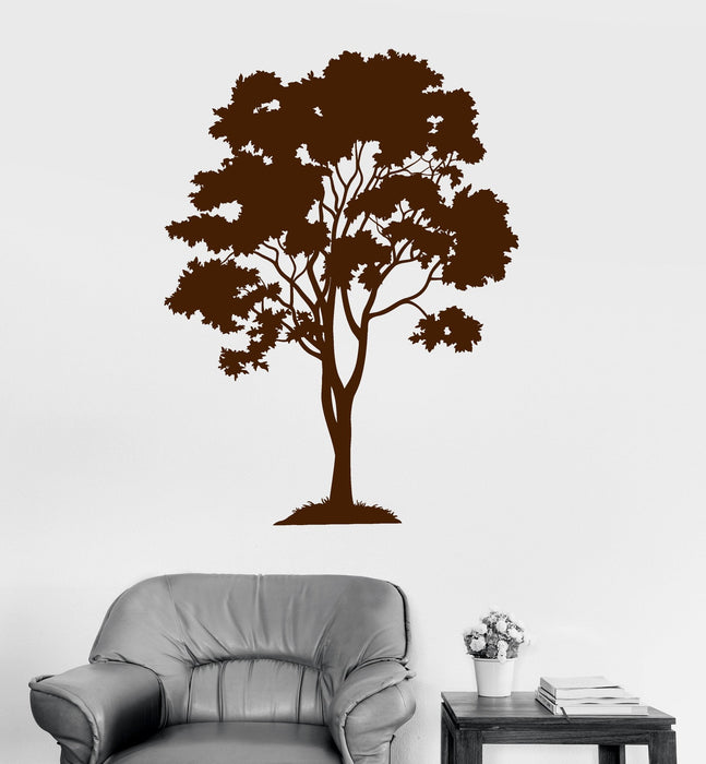 Vinyl Wall Decal Tree Forest Wood Home Decoration Stickers Mural Unique Gift (ig3155)