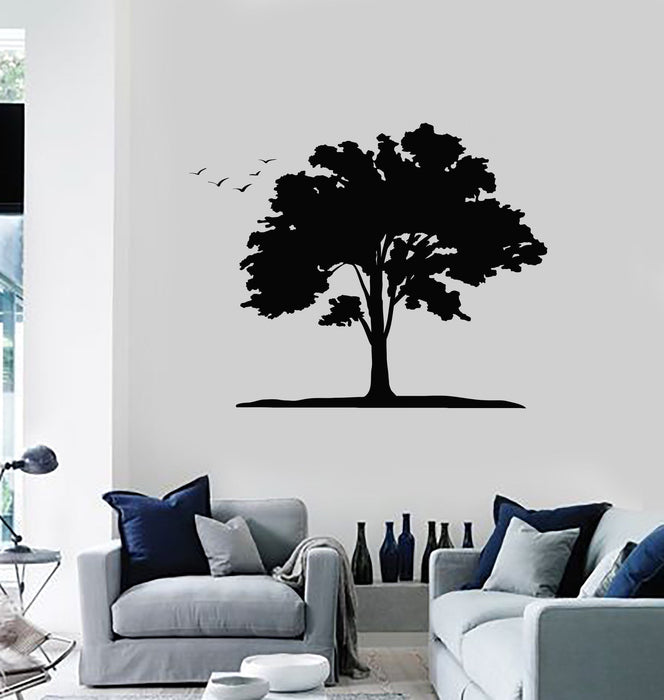 Vinyl Decal Tree Birds Room Decoration Art Mural Wall Stickers Unique Gift (ig2773)