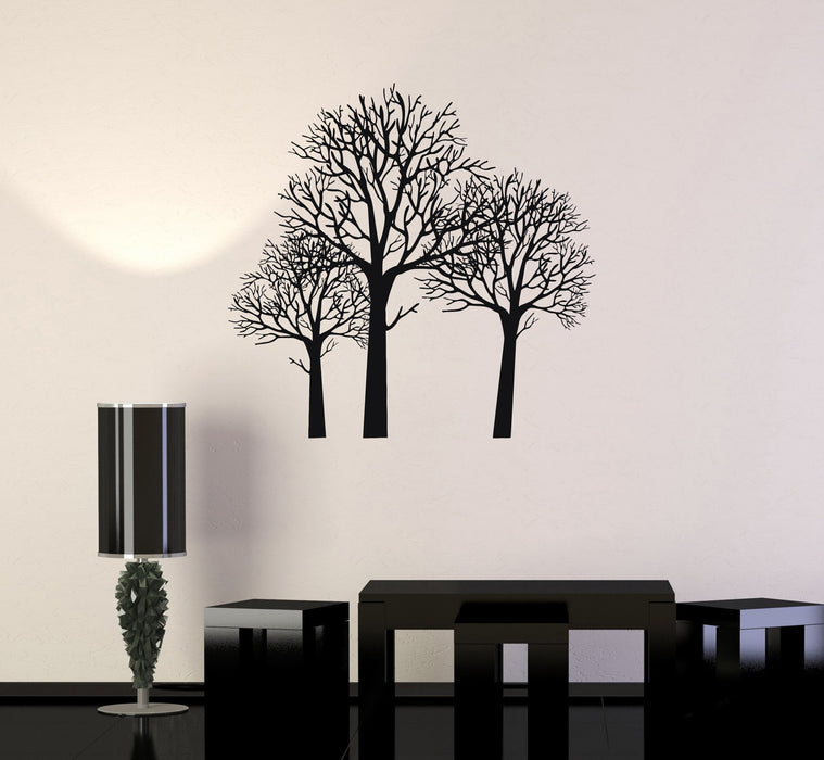 Vinyl Decal Trees Forest Beautiful Room Decor Wall Stickers Mural Unique Gift (ig2765)