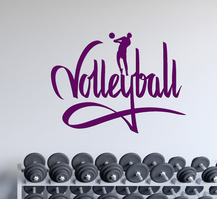 Wall Decal Volleyball Sport Sign I Love Volleyball Unique Interior Decor (z1144)